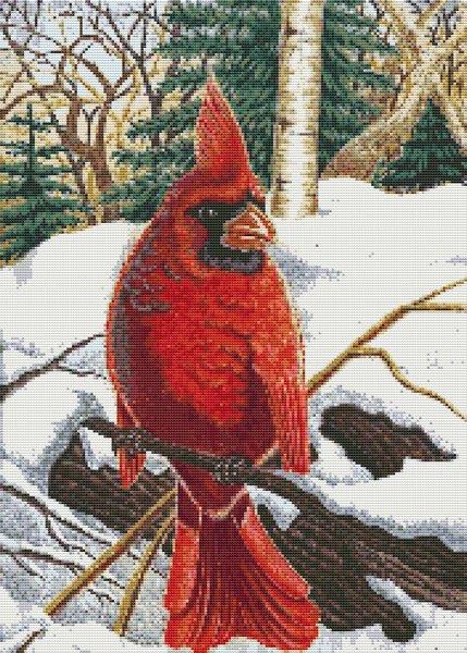 Winter Cardinal / White Willow Stitching