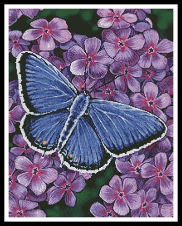 Eastern Tailed Blue Butterfly - #11196-PFLD / Artecy Cross Stitch