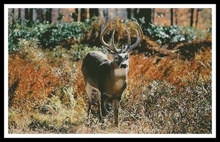 Deer in Forest - #11236 / Artecy Cross Stitch