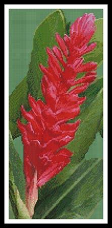 Red Ginger Blossom - #11266 / Artecy Cross Stitch