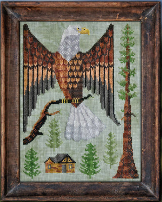 A Year in the Woods 7: The Bald Eagle / Cottage Garden Samplings