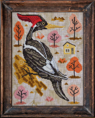 A Year In The Woods 9: The Woodpecker / Cottage Garden Samplings