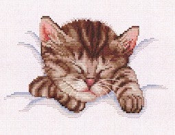 Sleeping Kitty / Ellen Maurer-Stroh