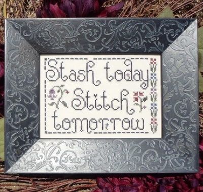 Stash Today, Stitch Tomorrow / My Big Toe