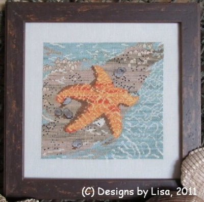 Wish Upon a Starfish / Designs by Lisa