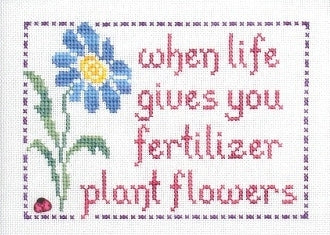 Plant Flowers / My Big Toe